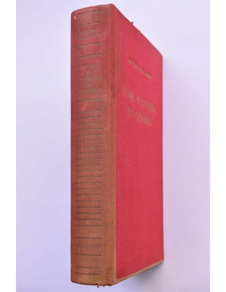 Come si guarda un quadro : lettura de linguaggio figurativo