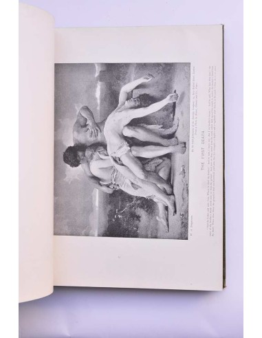 Sacred Art : the Bible story pictures by...