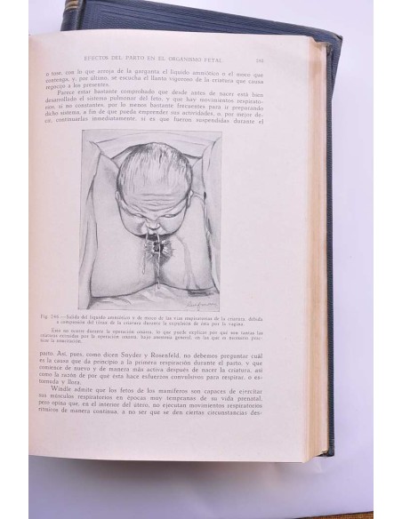 Principios y práctica de obstetricia