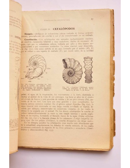 Mineralogía, zoología y botánica. Para la segunda enseñanza