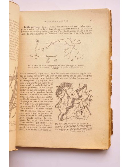 Mineralogía, zoología y botánica. Para la segunda enseñanza