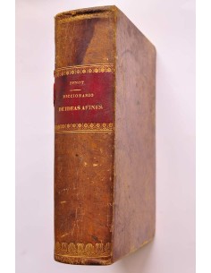 Diccionario de ideas afines y elementos de tecnología.... 2