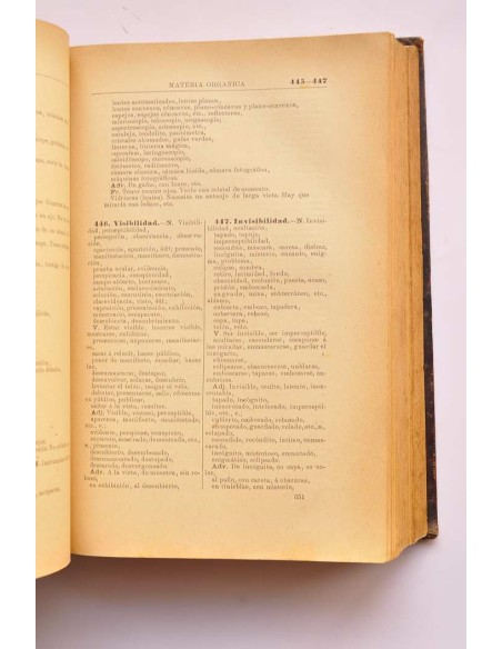 Diccionario de ideas afines y elementos de tecnología. Tomo I.