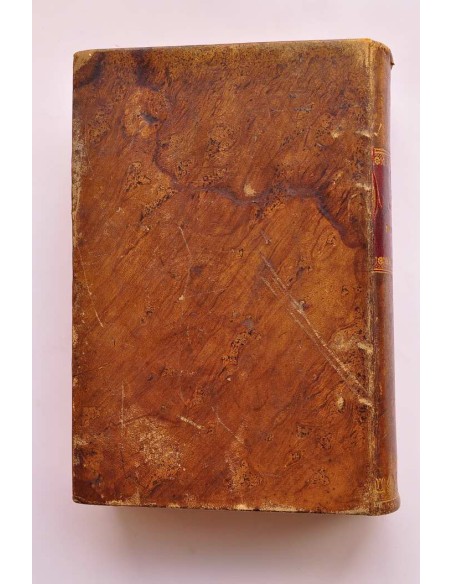 Diccionario de ideas afines y elementos de tecnología. Tomo I.