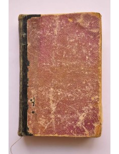 Anatomía del corazón