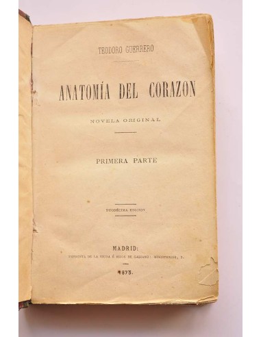 Anatomía del corazón