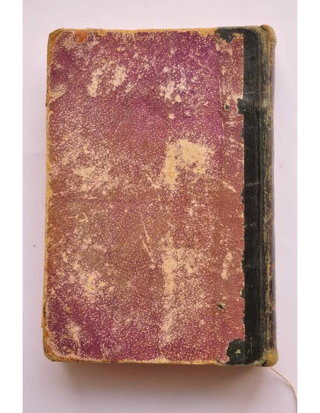 Anatomía del corazón