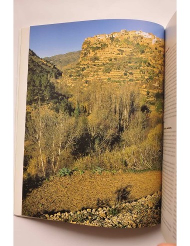 Liétor : formas de vida rurales en Sarq...