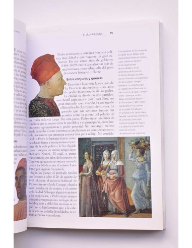 Los Medicis. Historia de una dinastía europea