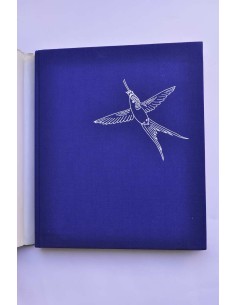 Kolibris. Fliegende Edelsteine 2