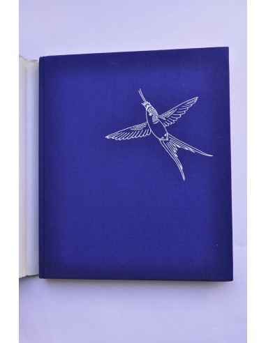 Kolibris. Fliegende Edelsteine