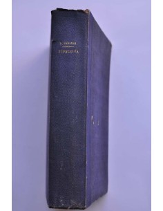 Hidalguía - Pedro el simple - Robinson Crusoe 2