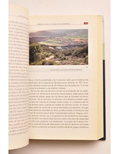 Historia de España. 10. La sociedad del siglo...