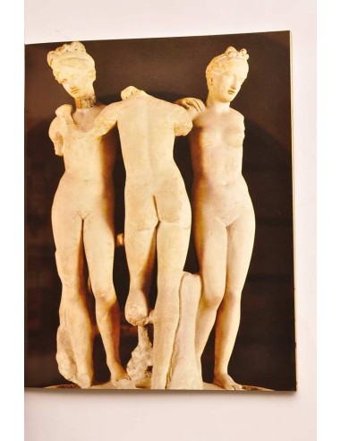 Siena. Su arte su palio