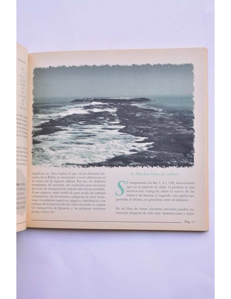 Reseña Bíblica. Verano 1995, nº 6. Los Salmos