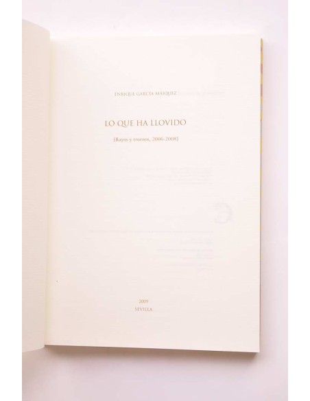 Lo que ha llovido (Rayos y truenos 2006-2008)