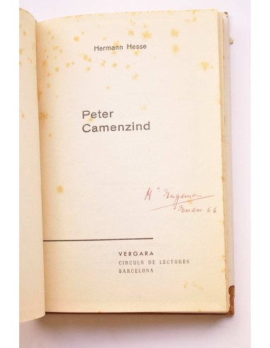 Peter Camenzind