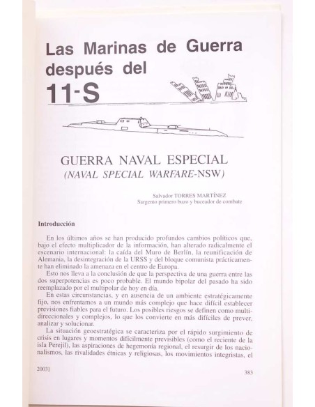 Las Marinas de Guerra después del 11-S. Guerra Naval Especial