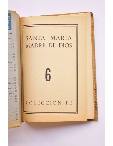 Santa María madre de Dios