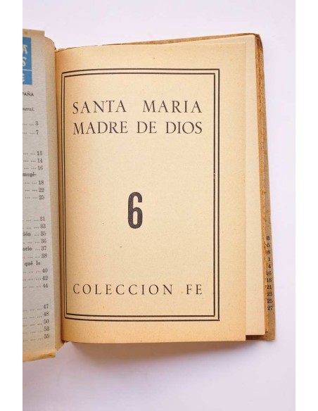 Santa María madre de Dios