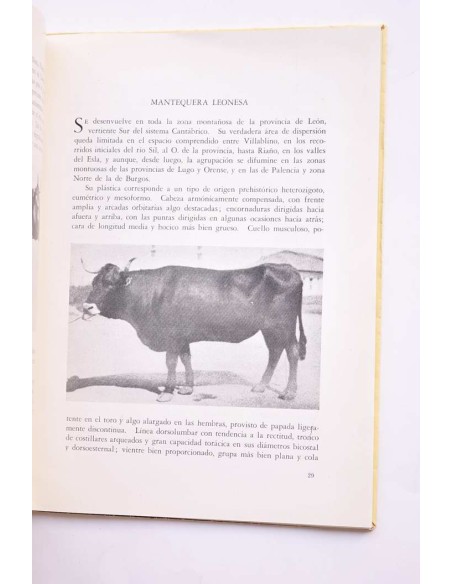Compendio de prototipos raciales españoles
