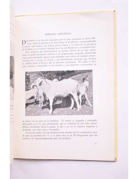 Compendio de prototipos raciales españoles