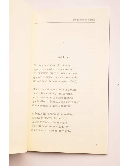 Sin pensar en el final