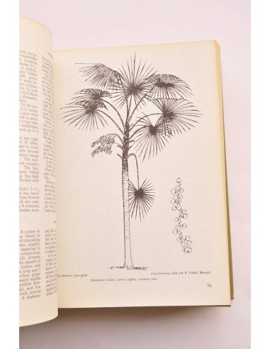 Trees of Puerto Rico and the Virgin Islands....