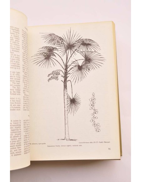 Trees of Puerto Rico and the Virgin Islands. Seconde volume