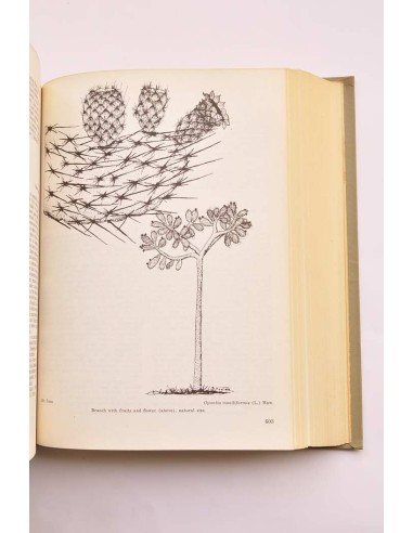 Trees of Puerto Rico and the Virgin Islands....