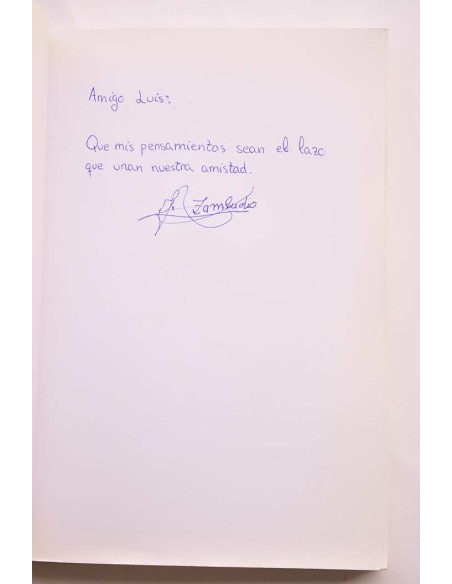 Mis pensamientos. Breve biografía de un amigo tardío