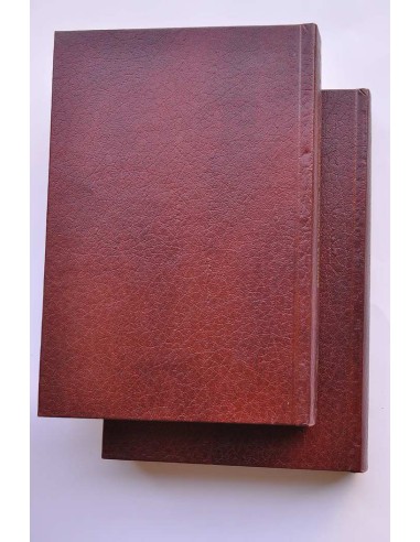 Flotation A. M. Gaudin memorial volume