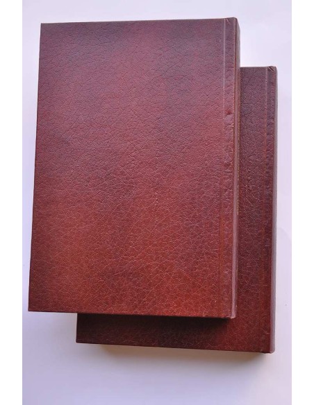 Flotation A. M. Gaudin memorial volume