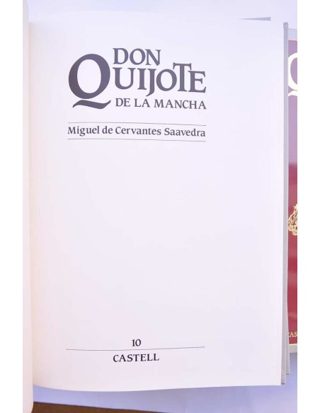Don Quijote de la Mancha (adaptaciones para niños)