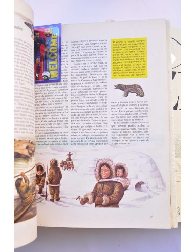 A-Zeta. Enciclopedia juvenil