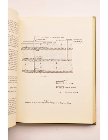 Recent advances in minig and procesing or...