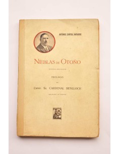 Nieblas de Otoño : poesías originales
