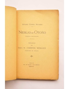 Nieblas de Otoño : poesías originales 2