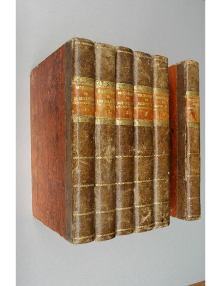 Diccionario de agricultura práctica y economía rural