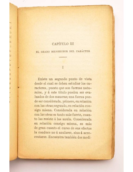 El ideal en el arte