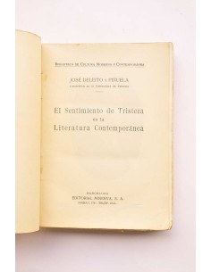El sentimiento de tristeza en la literatura contemporánea 2