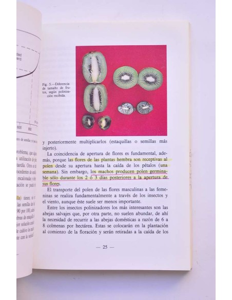 Recomendaciones para el cultivo actinidia en el norte de España