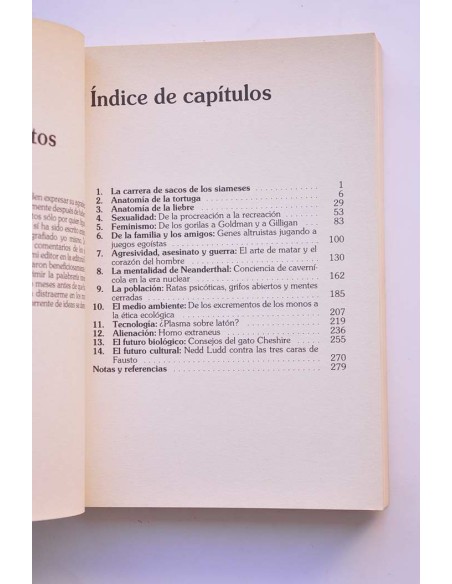 La liebre y la tortuga