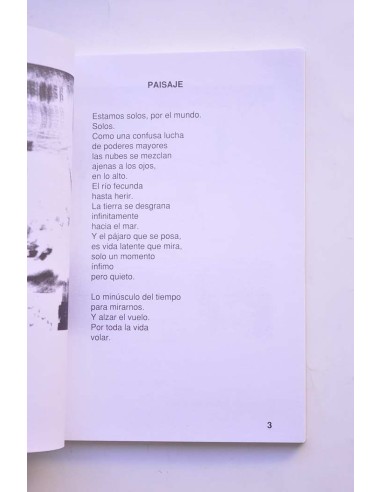 La luna ocre y otros poemas