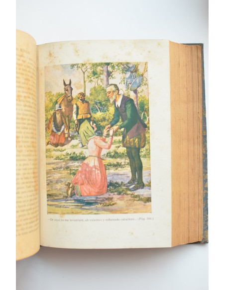 El ingenioso hidalgo Don Quijote de la Mancha