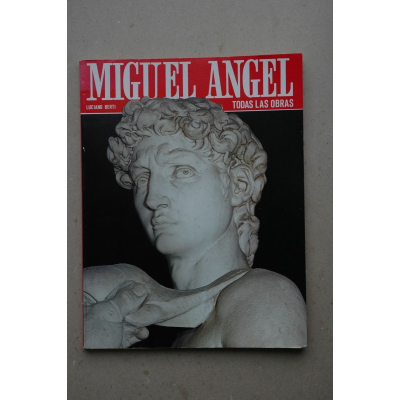 Todas las obras de Miguel Angel