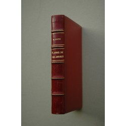 El amor de los amores : novela