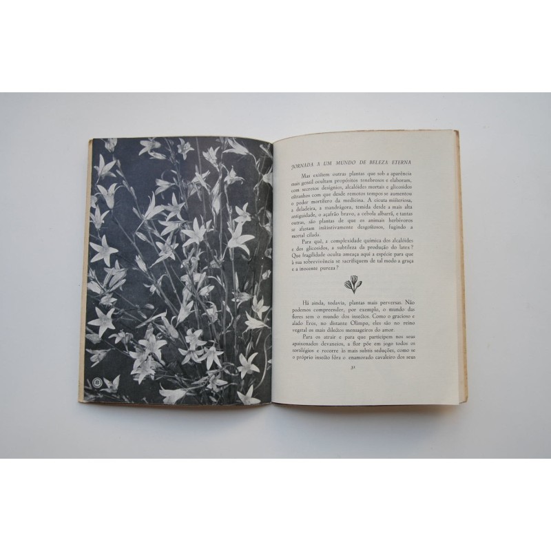 Jornada a um mundo de beleza eterna