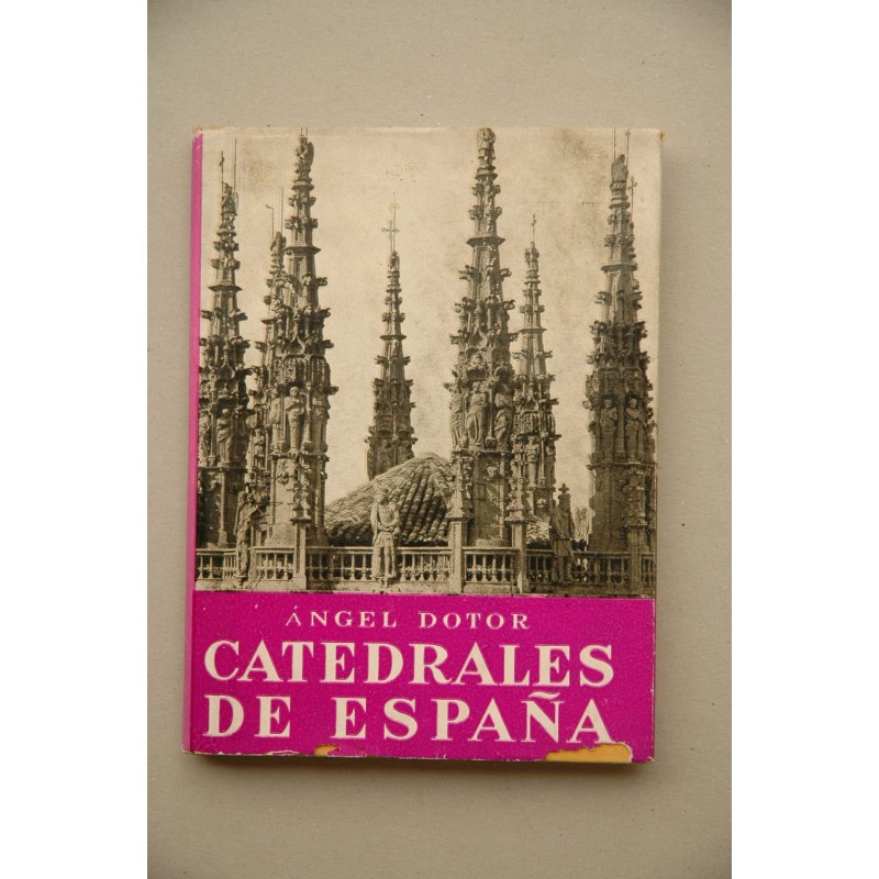 Catedrales de España : guía histórico-descriptiva de una selección veintena de las principales