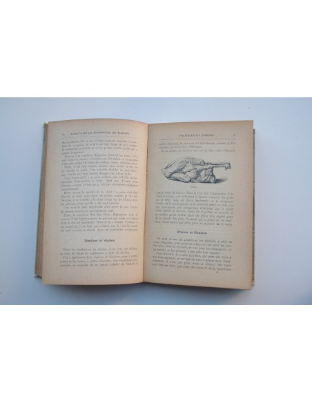 Les achats de la jeune maìtresse de maison